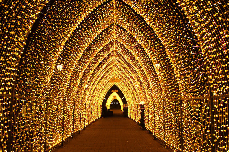 Oslo: 2-hour Christmas Private Walking Tour - Aker Brygge and Oslo City Hall after dark