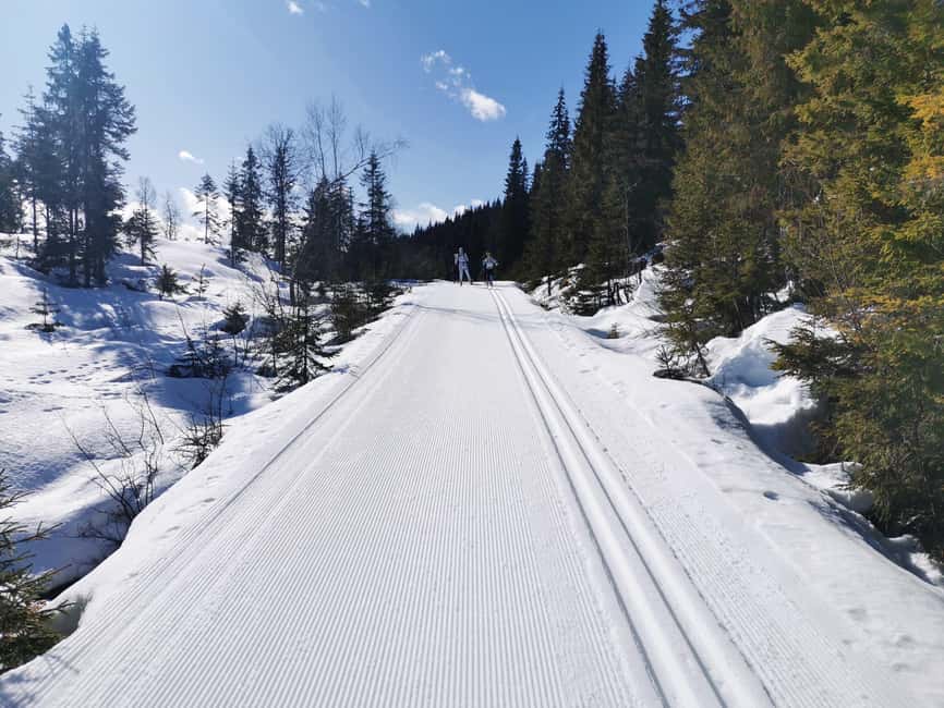 Oslo: 3-hour Cross Country trip with equipment and guide - Key points to know before you book