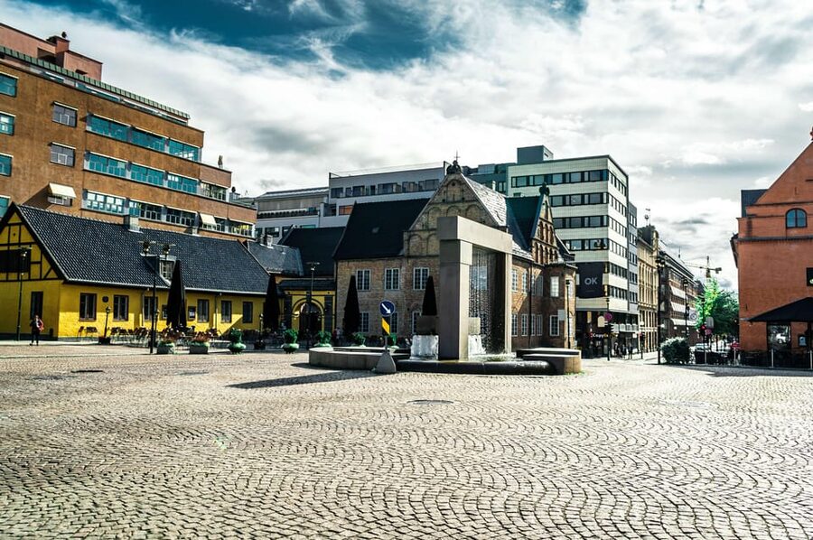 Oslo: 3-hour Highlights & Vigeland Park Private Walking Tour - The Royal Palace above Karl Johans gate