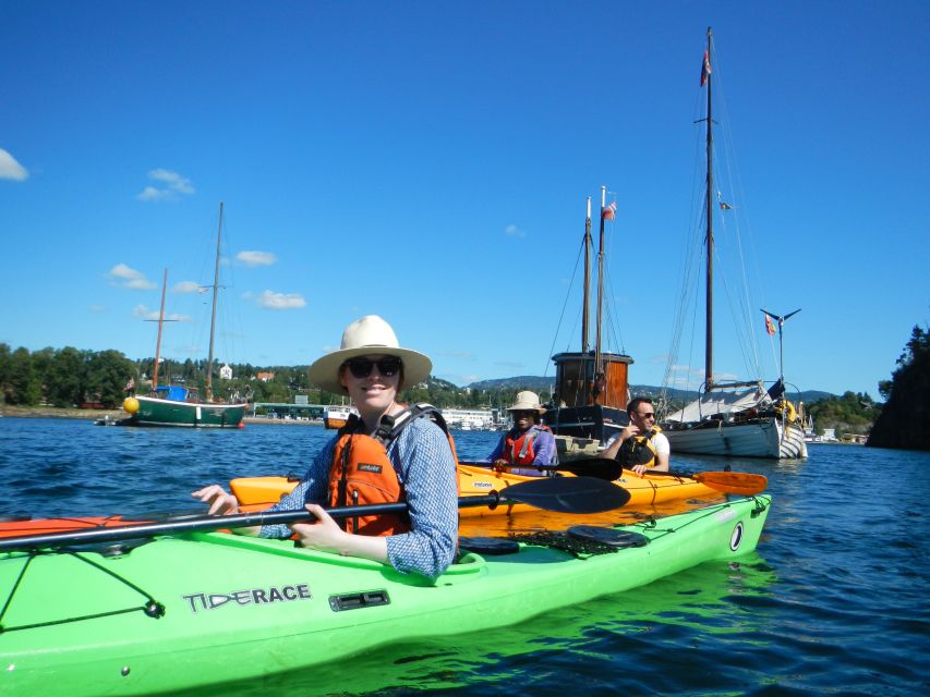 Oslo: 3-hour Kayaking Trip on the Oslofjord - What the three-hour route feels like