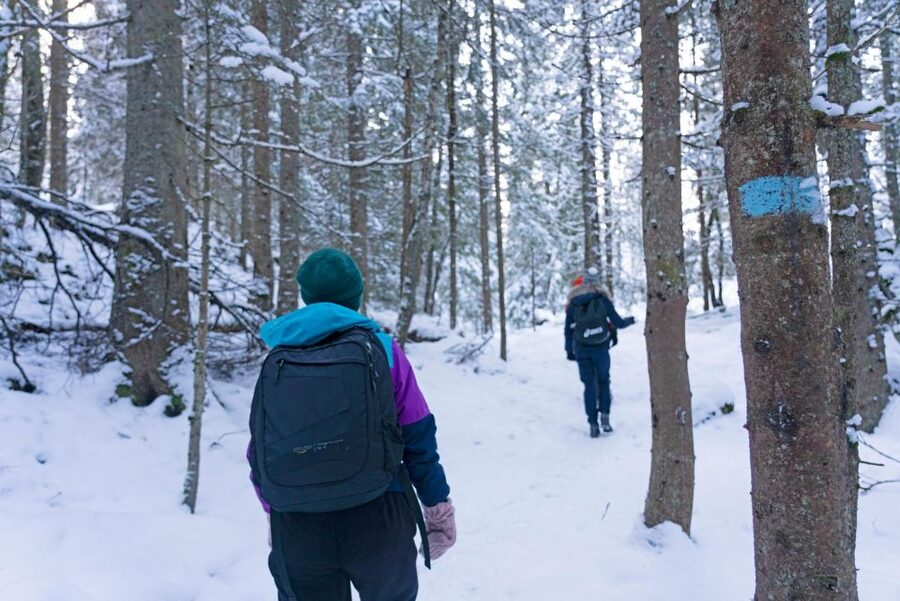 Oslo: Best View of the Oslofjord Winter Edition - Guides make a real difference here
