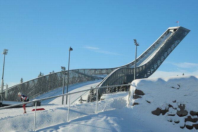 Oslo City Highlights with Fjord Cruise - Vigeland Park and its extraordinary human figures