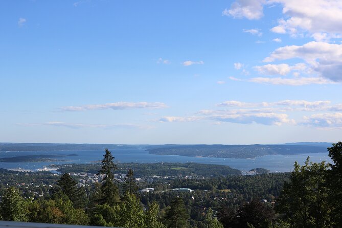 Oslo City Highlights with Fjord Cruise - Should you book Oslo City Highlights with Fjord Cruise?