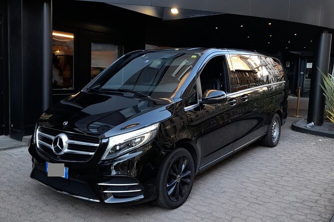 Oslo Cruise Port to Oslo Airport (OSL) - Departure Private Transfer - Clean cars, luggage help, and group size