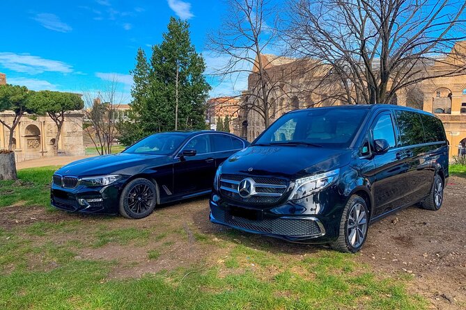 Oslo Cruise Port to Oslo Airport (OSL) - Departure Private Transfer - Who will get the most from this transfer?
