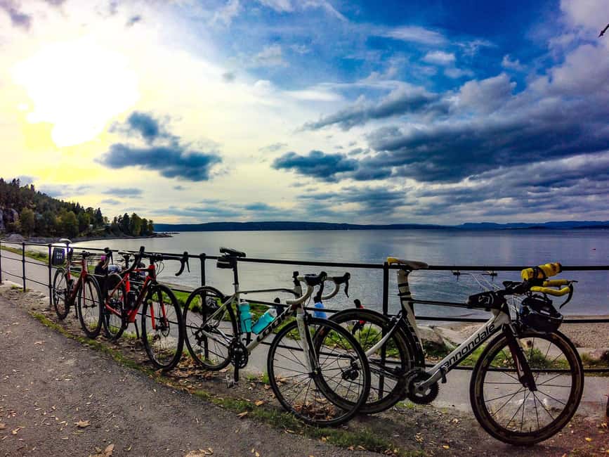 Oslo El-Bike Panorama Tour - Honse-Lovisas Hus and a quieter side of Oslo