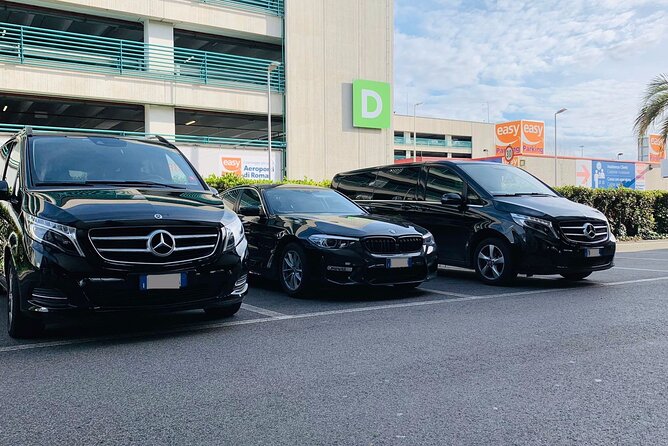 Oslo Gardermoen Airport (OSL) to Oslo - Arrival Private Transfer - Key points to know before booking