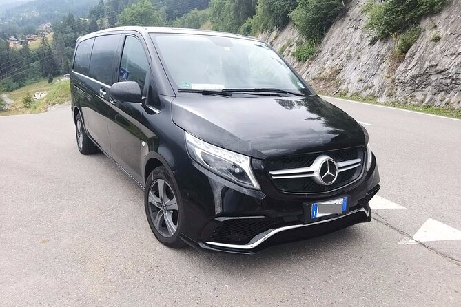 Oslo Gardermoen Airport (OSL) to Oslo - Arrival Private Transfer - What this transfer does not include
