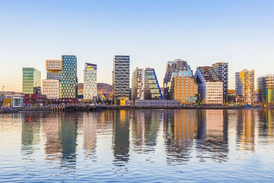 Oslo: Grand City Sightseeing Tour by Bus with Fjord Cruise - Vigeland Sculpture Park, where one artist fills a city park