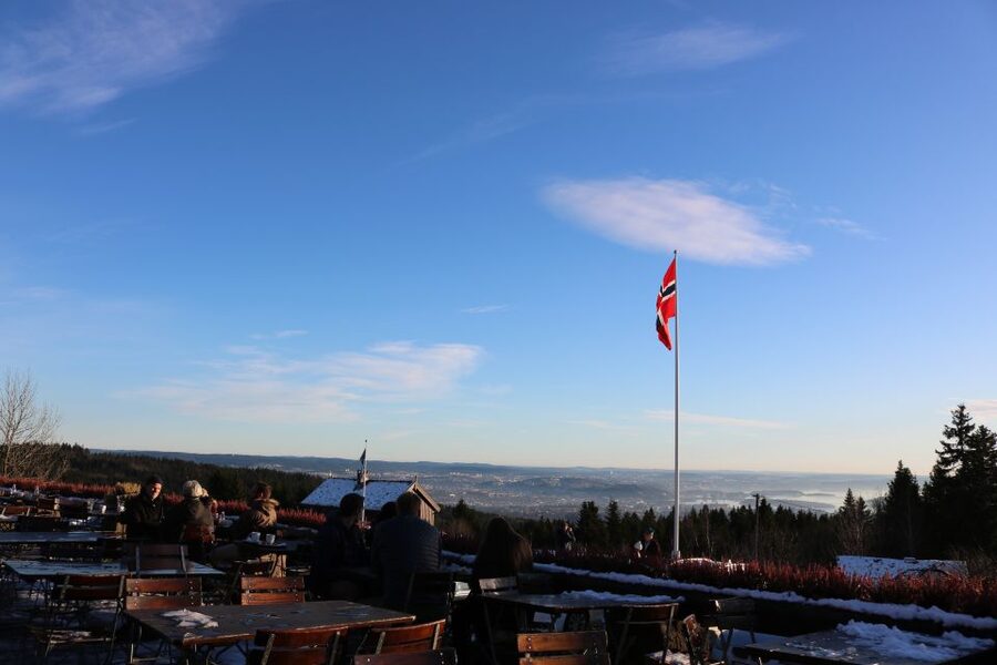 Oslo: Guided Oslo Highlights Tour by bus & Oslofjord cruise - What the timing means for your day