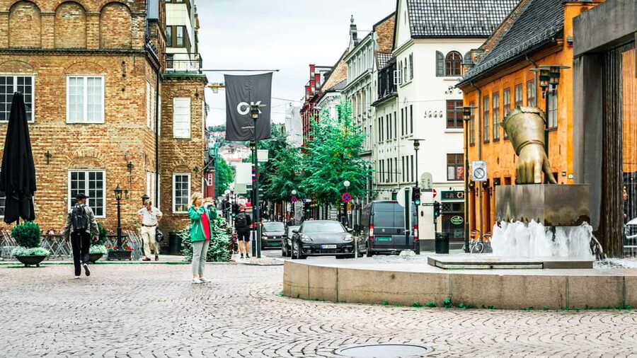 Oslo: Highlights, Vigeland Park & Fram Museum Private Tour - What $730 means for a private group