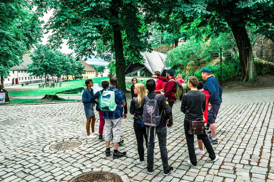 Oslo: Highlights, Vigeland Park & Fram Museum Private Tour - Who will get the most from this tour