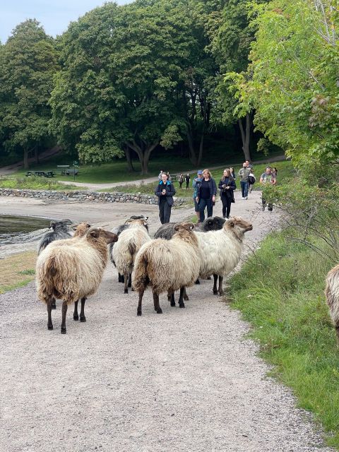 Oslo Island Walks: Island Hopping Tour - Five reasons this Oslo island tour is worth your morning