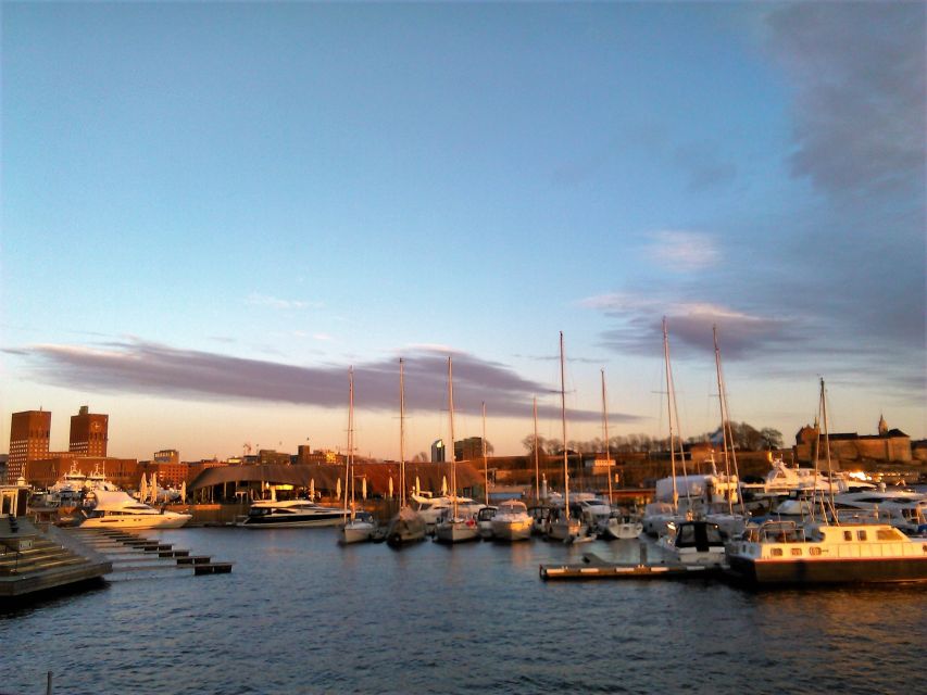 Oslo Nature Walks: Island Hopping Tour - Gressholmen: a quieter side of the fjord