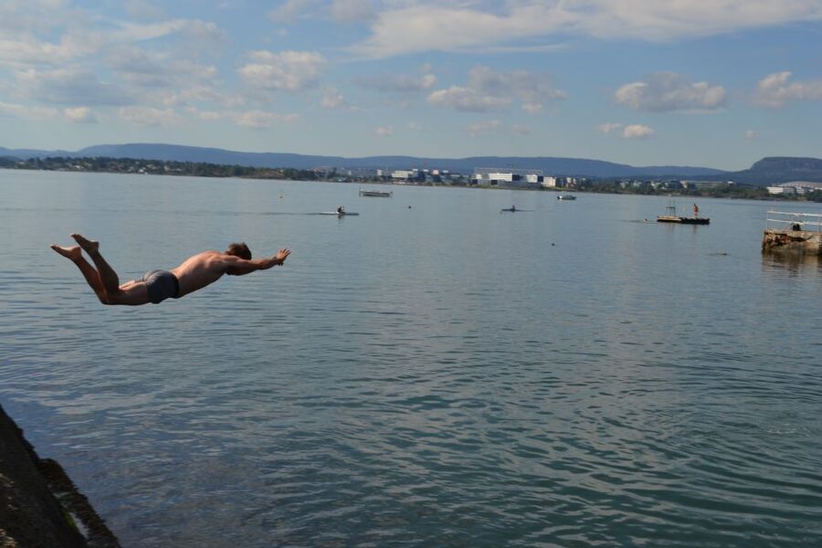 Oslo Nature Walks: Island Hopping Tour - Who will enjoy this island walk?