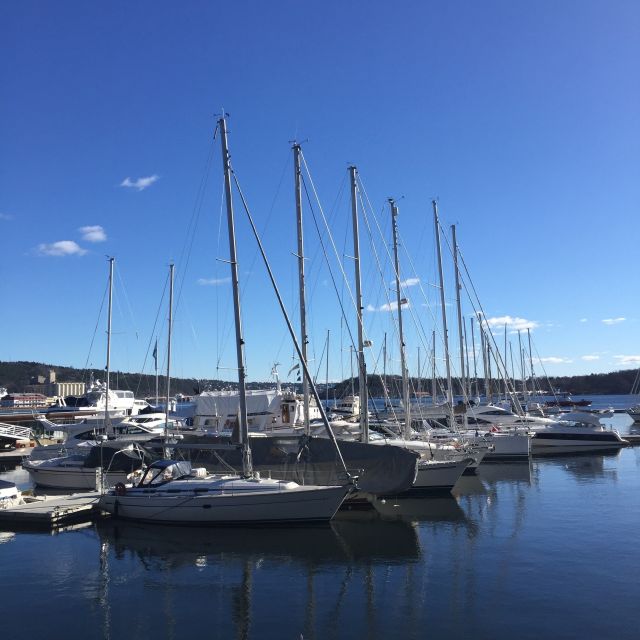 Oslo: Norwegian Explorers and Culture 3 Museum Tour - Should you book the 3 Museum Tour?