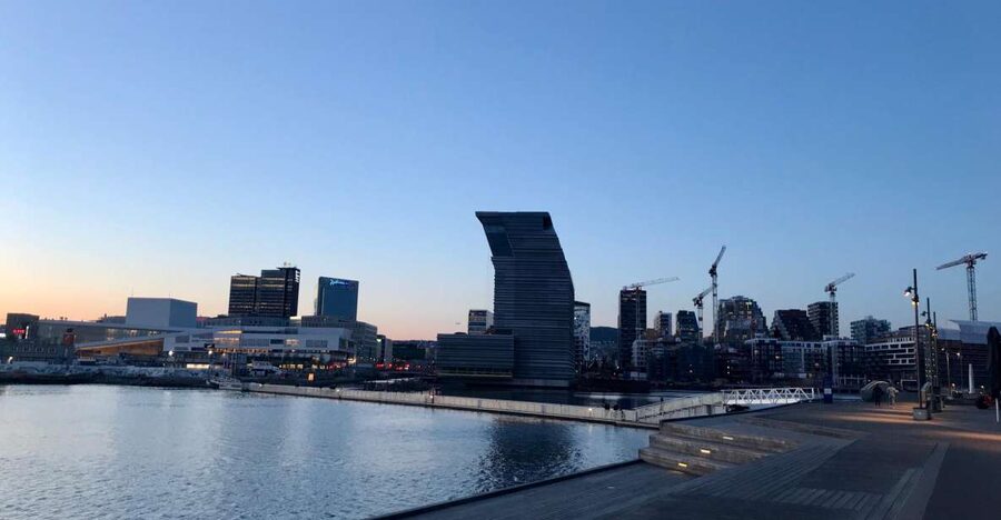 Oslo: Panoramic View and Sculpture Park Walk - Who should book this Oslo introduction?