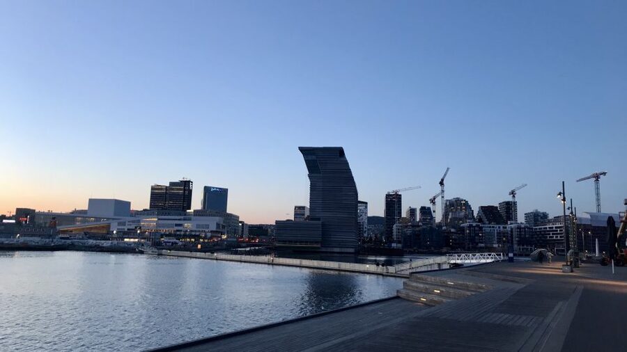 Oslo: Panoramic View and Sculpture Park Walk - Frogner Park and Vigeland’s human stories