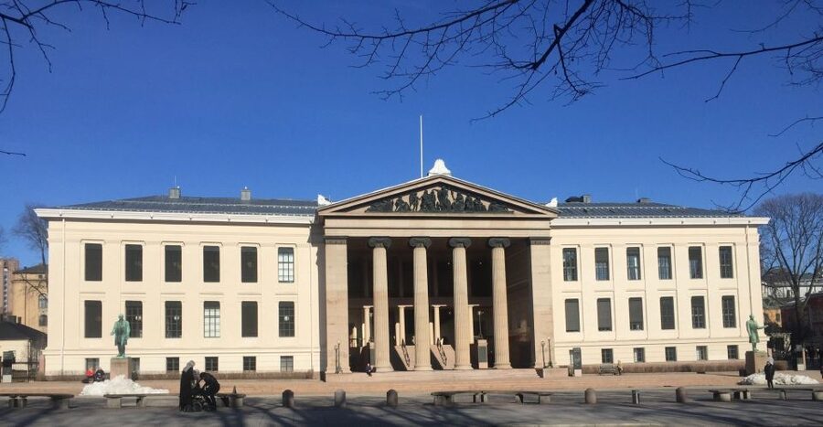 Oslo: Panoramic View and Sculpture Park Walk - A guide-led experience, not just a chauffeur ride
