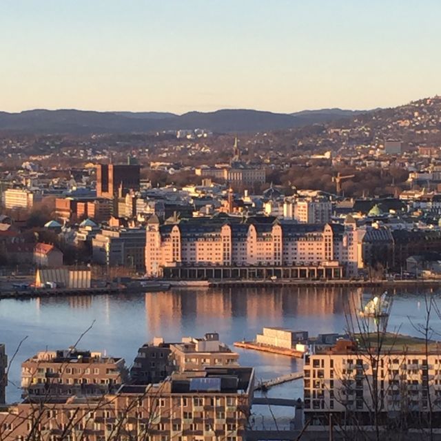 Oslo: Panoramic View and Sculpture Park Walk - What the $1,047 price really buys