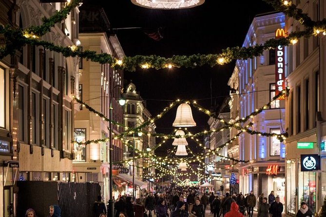 Oslo: Private VIP City Tour by Luxury Minivan with Driver & Guide - Weather, Walking, and Practical Preparation