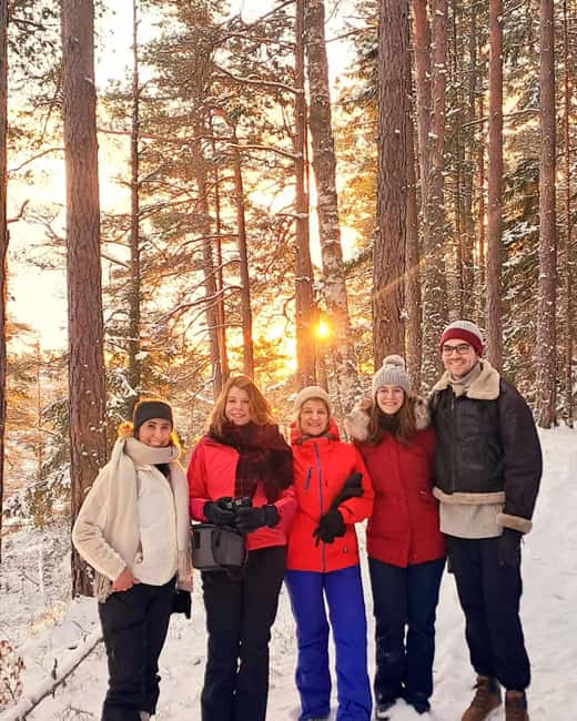 Oslo: Scenic Forest Hike with Dog & Local Guide - From Oslo Central Station to Kolbotn’s Forest Edge