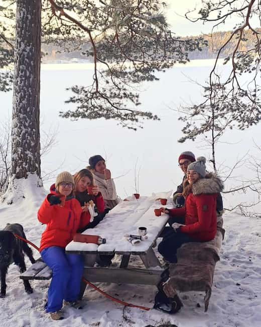 Oslo: Scenic Forest Hike with Dog & Local Guide - The First Climb to the 153-Meter Viewpoint