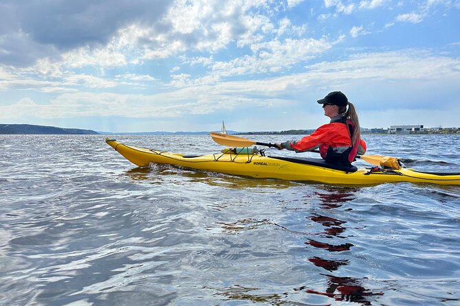 Oslo Sea Kayak Tour: Explore The Incredible Oslofjord - Akershus Fortress and the old city edge