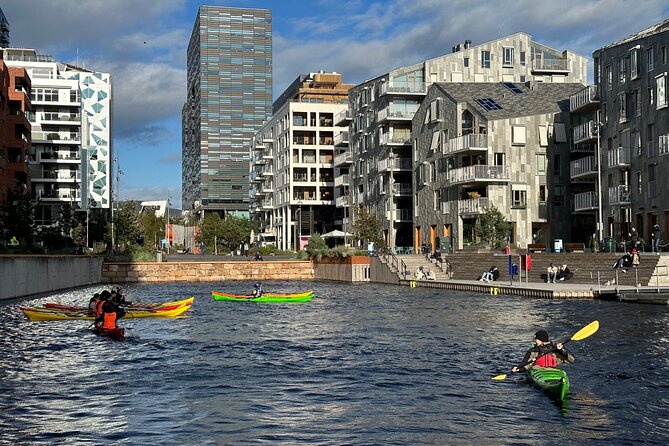 Oslo Sea Kayak Tour: Explore The Incredible Oslofjord - Is $117.86 fair for this Oslo experience?