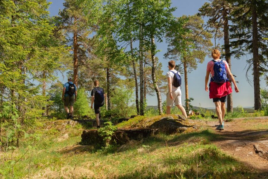 Oslo: Skjennungstoppen Wildlife Forest Hiking Tour - Coffee and waffles at Skjennungenstua