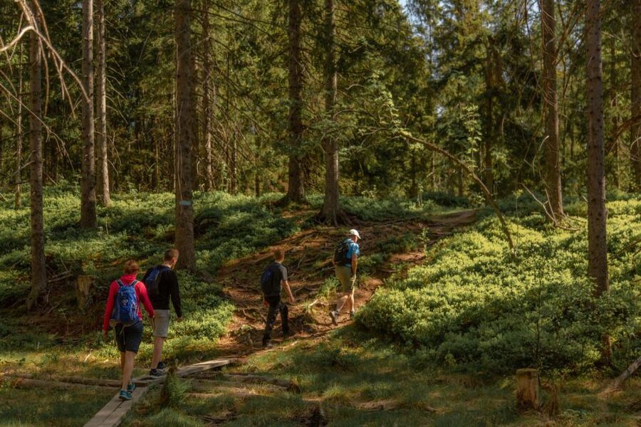 Oslo: Skjennungstoppen Wildlife Forest Hiking Tour - The geographical center of Oslo