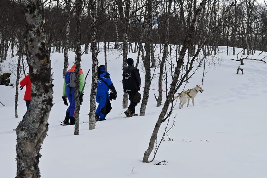 Oslo: Snowshoeing in the Forest with Norwegian BBQ - Why this forest trip feels different from city sightseeing