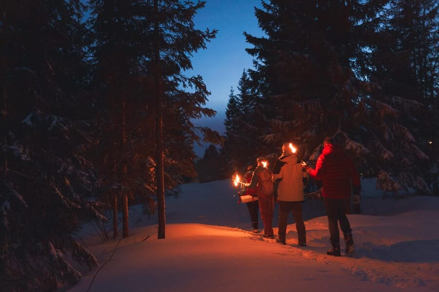 Oslo: Snowy Forest Torchlight Walk with Campfire - The campfire beside Øvresetertjern Lake