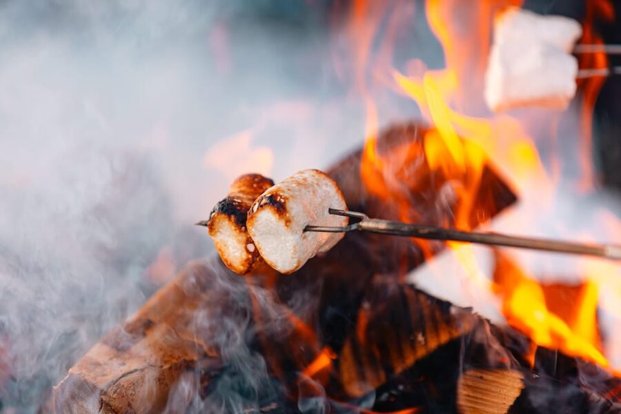 Oslo: Snowy Forest Torchlight Walk with Campfire - How cold is it, and how hard is the walk?