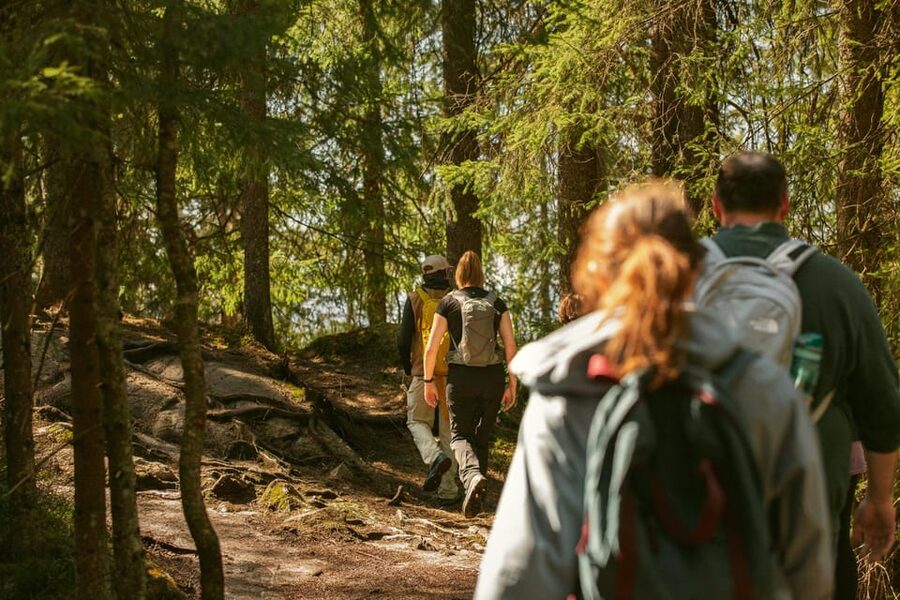 Oslo: The Spectacular Holmenkollen Walk - Key points to know before booking