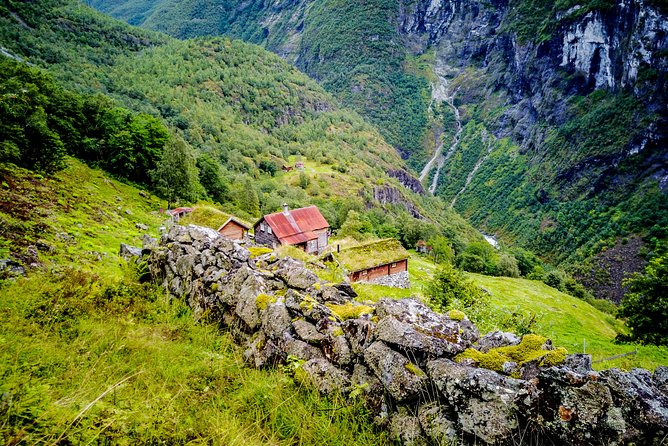 Oslo To Bergen Self-Guided Full Day Trip with Flåm Railway And Fjord Cruise - The $454.91 price and what you receive