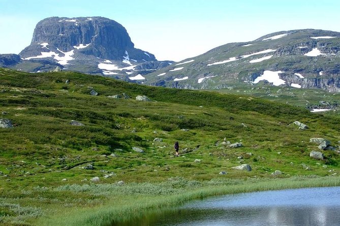 Oslo To Sognefjord Private Full Day Roundtrip Including Flam Railway - Flåm and the famous railway ride