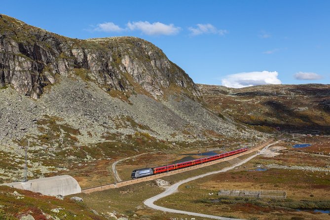 Oslo To Sognefjord Private Full Day Roundtrip Including Flam Railway - Guides, communication, and the human side