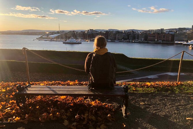 Oslo Unveiled: Private Walking Tour - Akershus Fortress and Oslo’s medieval core