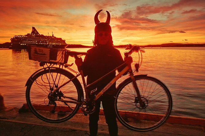 Oslo Winter Highlights Bike Tour - Karl Johans Gate puts Oslo’s major sights in one stretch
