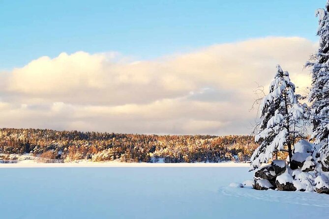 Oslo: Winter wonderland forest hike & campfire with a dog - At a glance