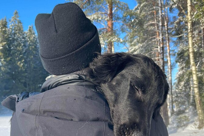 Oslo: Winter wonderland forest hike & campfire with a dog - Why this forest walk is worth leaving Oslo for