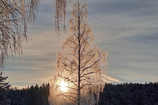 Oslo: Winter wonderland forest hike & campfire with a dog - Gjersjøen, waffles, and a proper pause