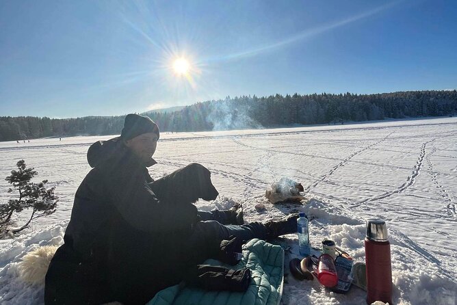 Oslo: Winter wonderland forest hike & campfire with a dog - Price, timing, and what you receive