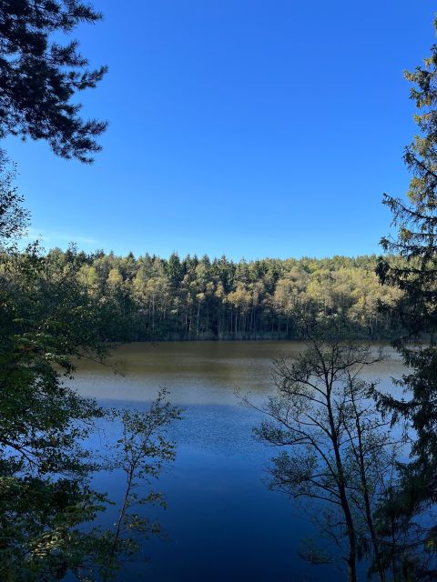 Oslo: Yoga & Hiking with a dog - From Oslo Central Station to Kolbotn in 20 minutes