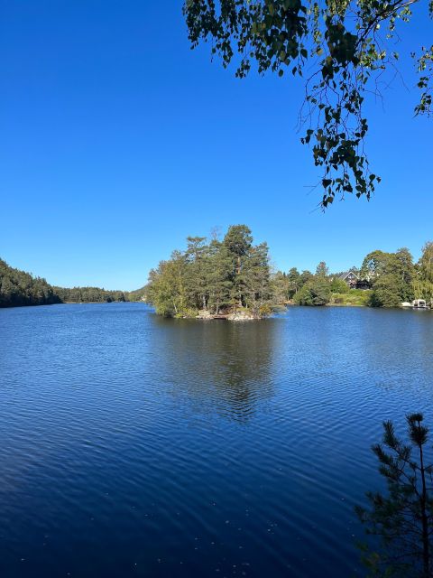 Oslo: Yoga & Hiking with a dog - Time with the dog adds warmth to the experience