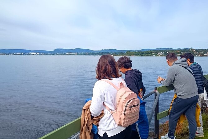 Oslofjord Island Hopping Tour - Nakholmen: a close look at Oslo cabin life