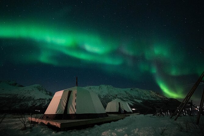 Overnight Stay with Reindeer Sledding & Feeding - Reindeer sledding on a small Arctic loop
