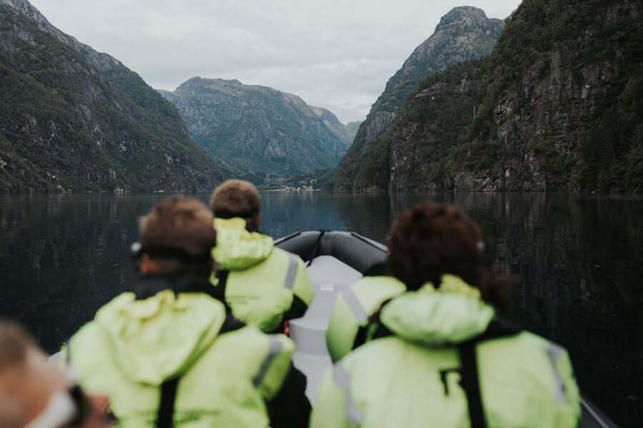 Øystese: Hardangerfjord RIB safari to the Fyksesund branch - A short look at Kvamsøy