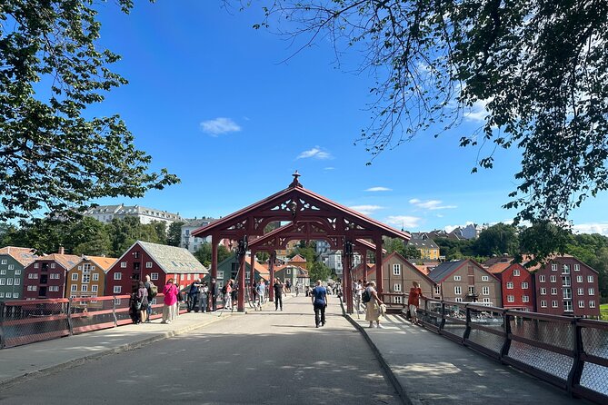 Panorama Bus Tour with Audio Guide - Student Trondheim and the NTNU campus